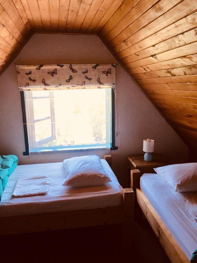 La Guapa Hostel بورتو فاراس المظهر الخارجي الصورة